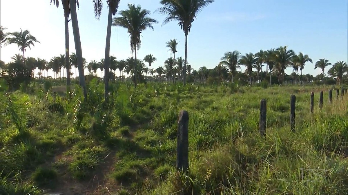 Mirante Rural Mostra A Integra O Da Lavoura E Pecu Ria Na Agricultura