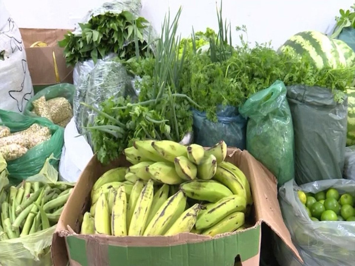 Mirante Rural mostra como programas de aquisição de alimentos