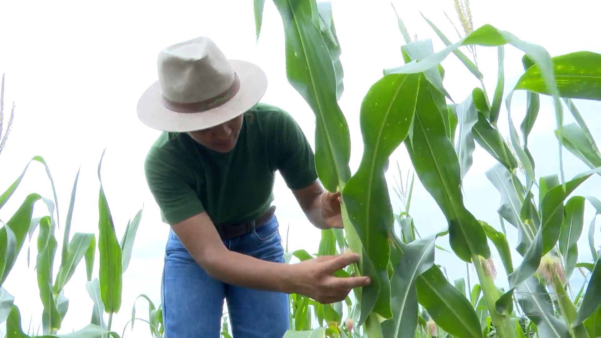 Mirante Rural mostra educação no campo e tradições do Maranhão | Rede globo