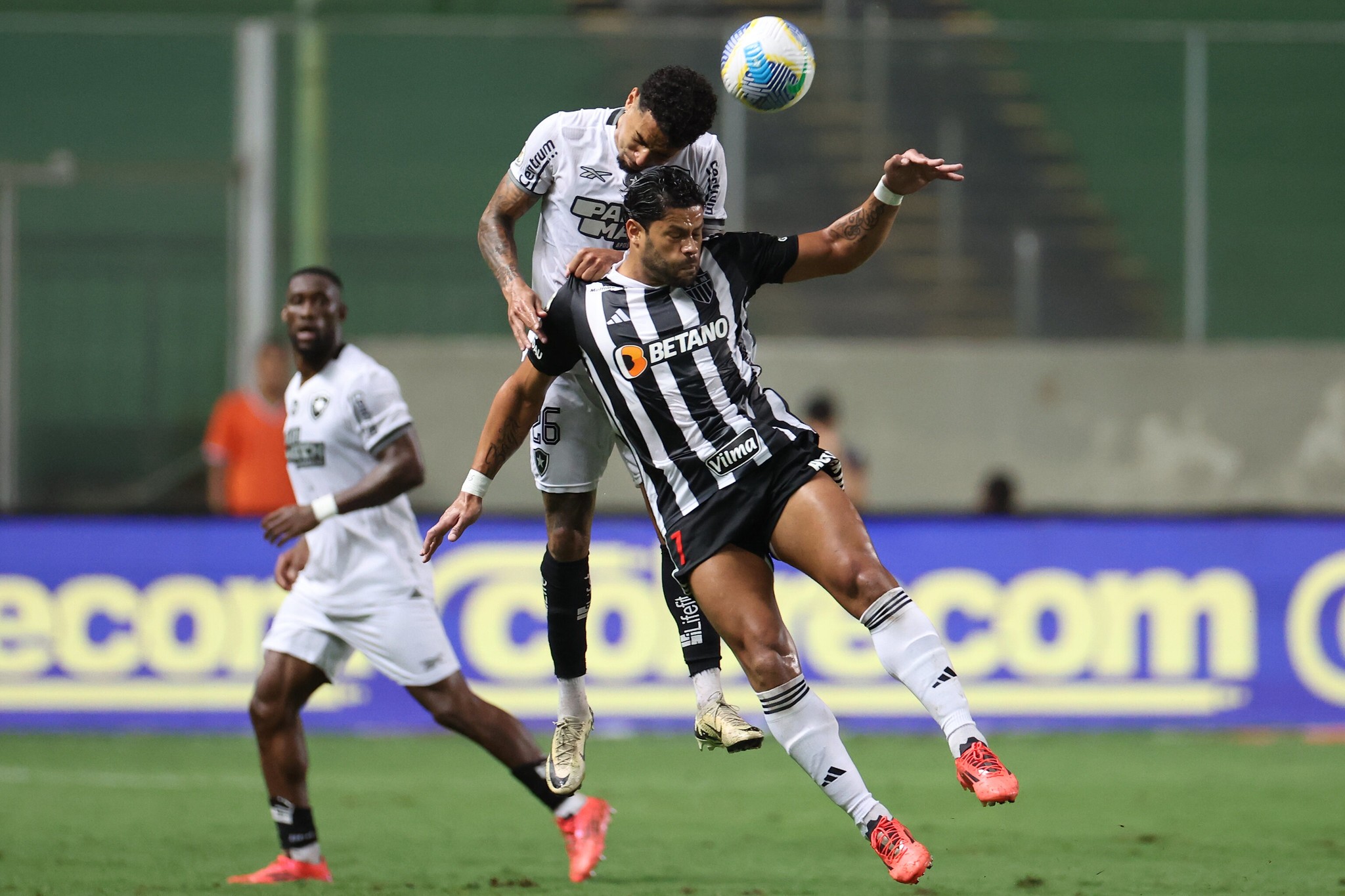 Atlético-MG x Botafogo: onde assistir a final da Libertadores ao vivo ...