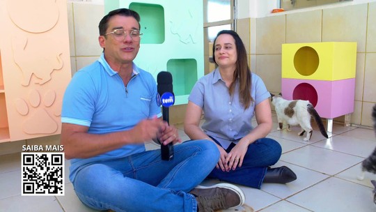 Marcão visita fábrica de sachês da Special Dog, em Santa Cruz do Rio Pardo - Programa: G1 TV TEM 