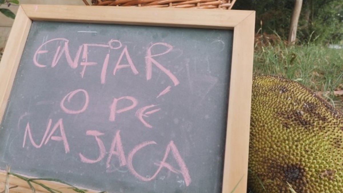 'Enfiar o pé na jaca!': conheça o significado de diversas expressões ...