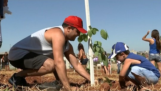 TEM Mais Verde faz mega plantio de mais de 400 mudas em Ibitinga - Programa: TEM Notícias 1ª Edição – Bauru/Marília 