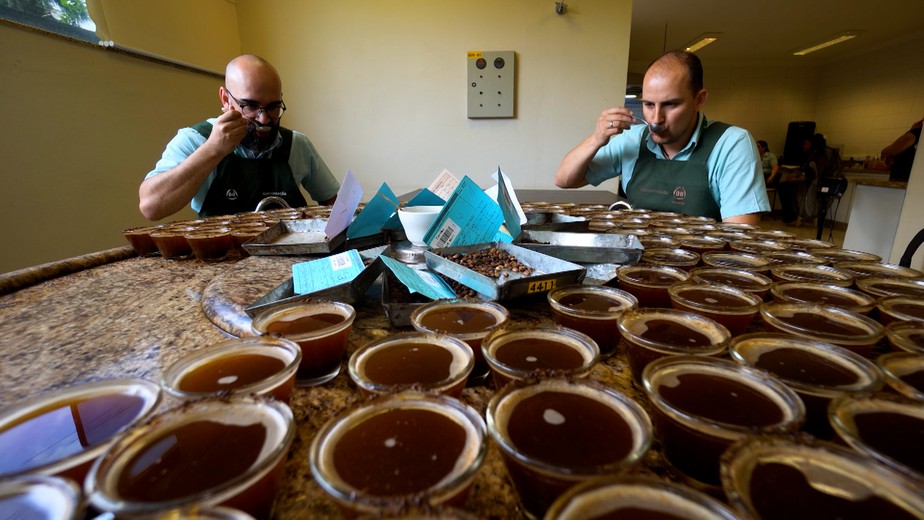 Impurezas no café: até quanto a lei permite