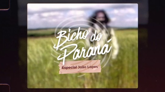 A história por trás da música ‘Bicho do Paraná’, de João Lopes - Programa: Bicho do Paraná 