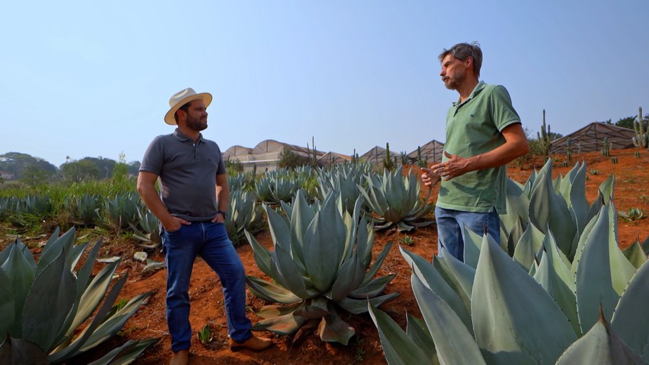 Marcelo Ferri descobre um projeto que promete produzir combustvel  sustentvel
