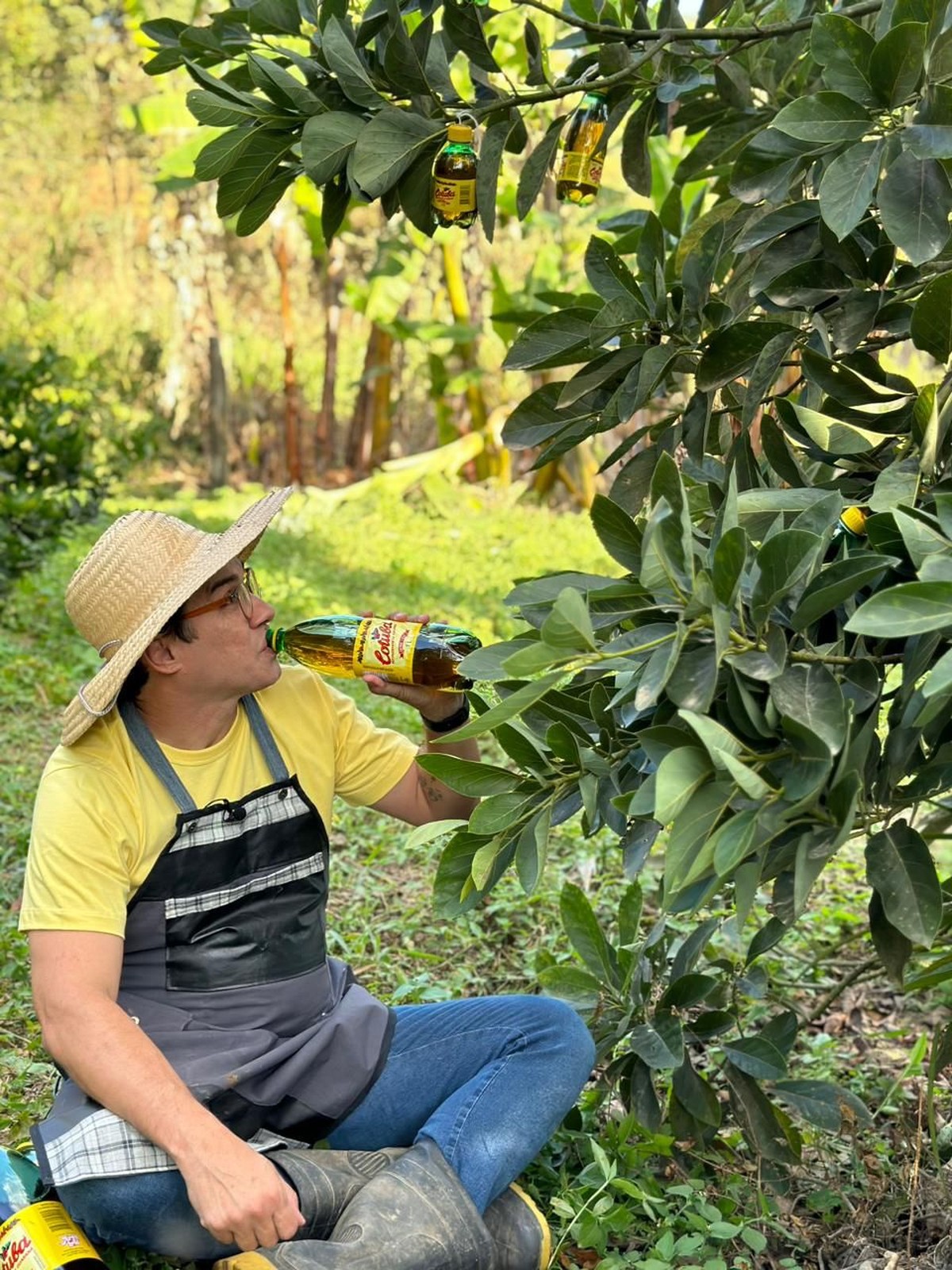 Marcão celebra o Dia do Agricultor com Cotuba direto do pé | Especial ...