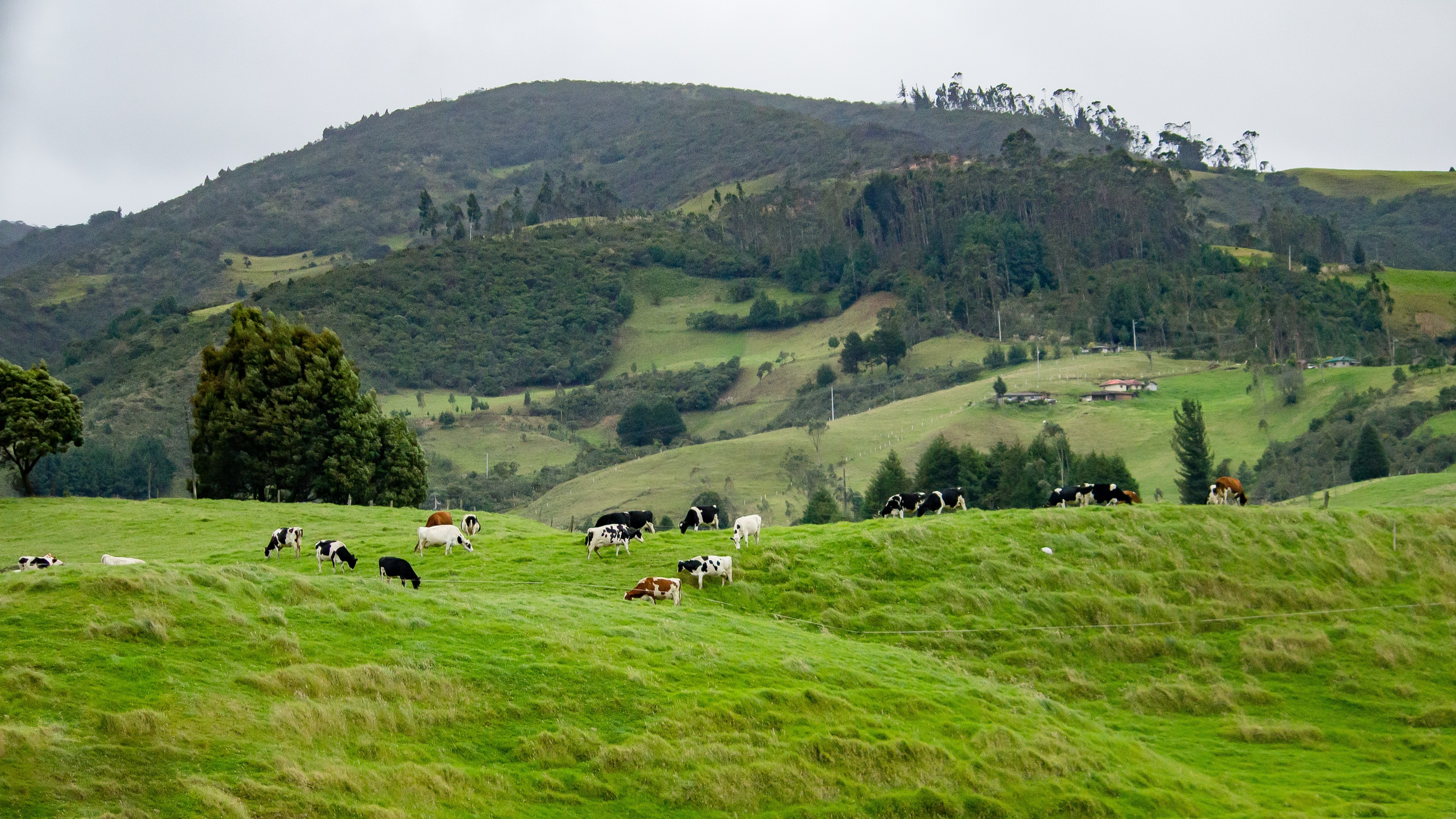 Turismo rural ganha força e impulsiona renda no campo | Rede globo