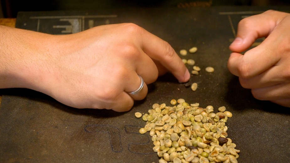 Startup usa IA para revolucionar a classificação de grãos de café