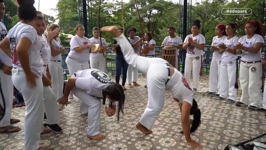 A capoeira como arte, esporte e transformador social