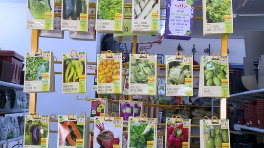 Estação Agrícola destaca o aumento das vendas de sementes por causa das chuvas - Foto: (TV Sergipe)