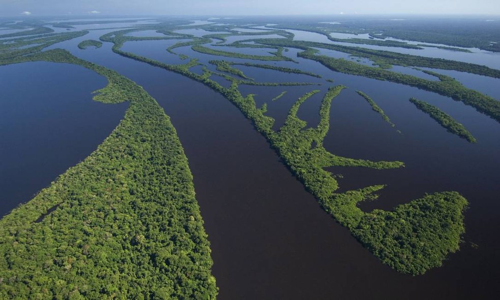 Arquiplago das Anavilhanas, na Amaznia  Foto: Latinstock