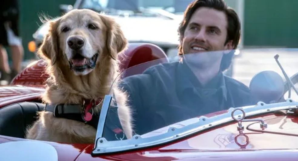  — Foto: Divulgação