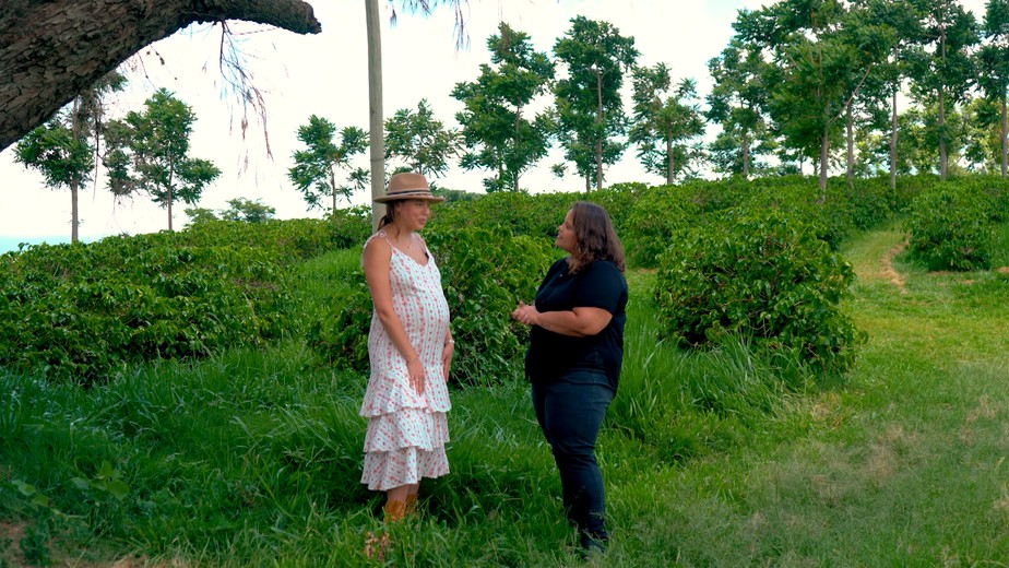 Casal retoma tradição do café e aposta no cultivo orgânico em fazenda de Itapira (SP)