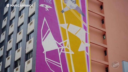 Tatiane Camargo visita pintura de andorinhas em prédio de Campinas (SP)  - Programa: Mais Caminhos 