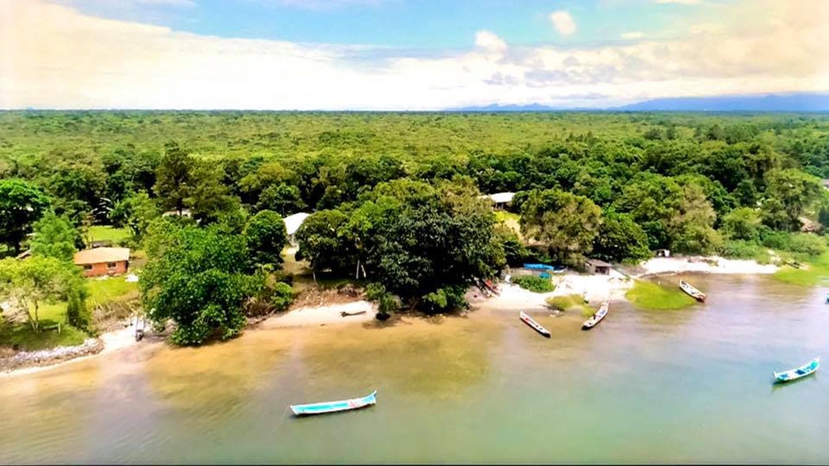 Paisagem digna de cartão postal: rio Guaraguaçu, no litoral do Paraná, faz  o encontro da água doce com a salgada | Plug | Rede Globo