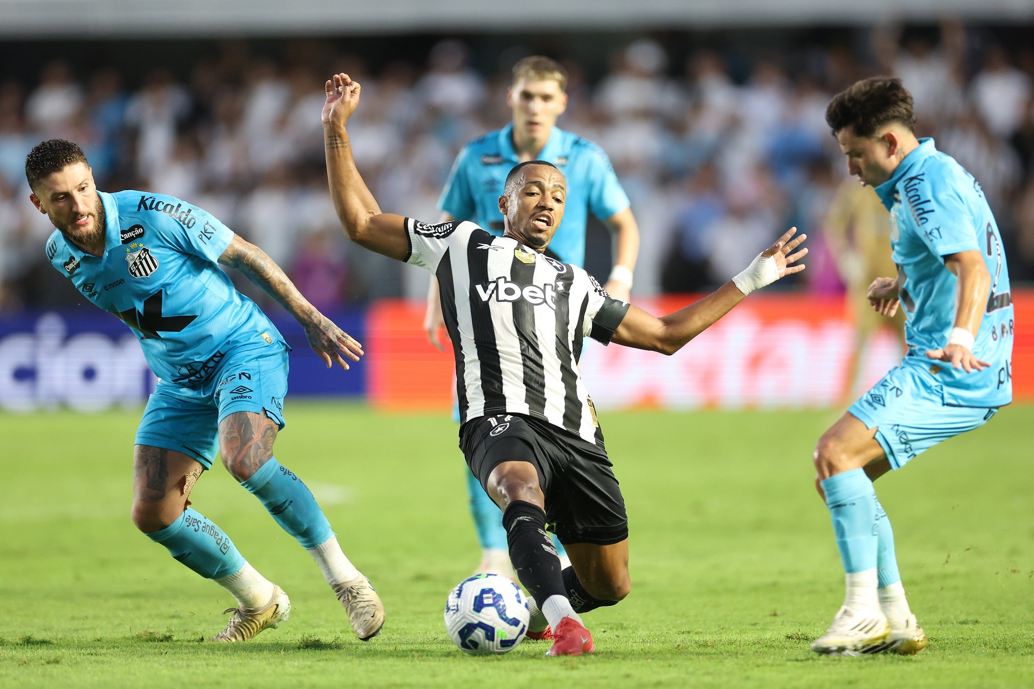 Botafogo x Santos: horário e onde assistir ao vivo | Rede globo