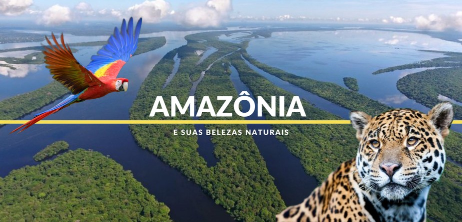 Amaznia: conhea algumas belezas naturais da regio