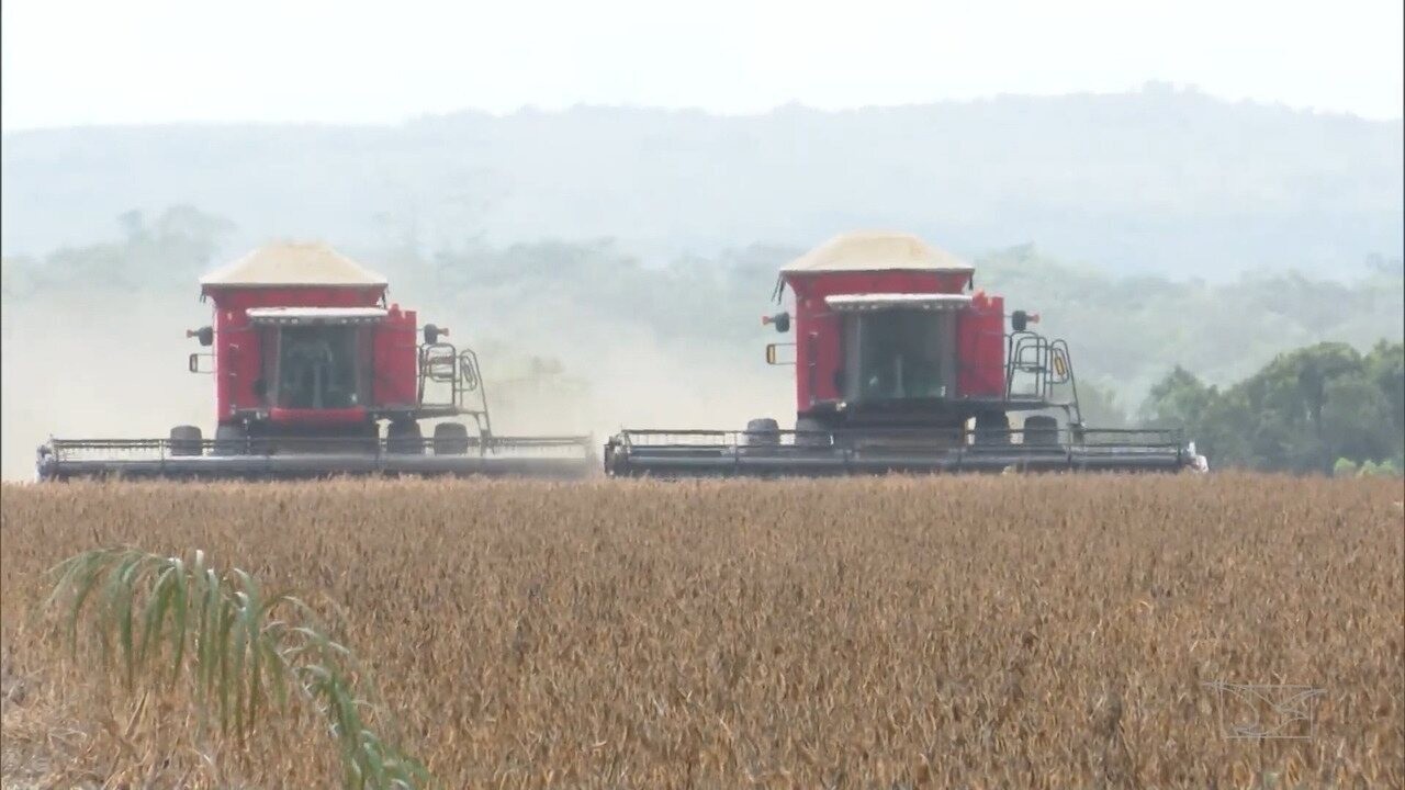 Mirante Rural mostra que a agroindústria tem investido na tecnologia ...