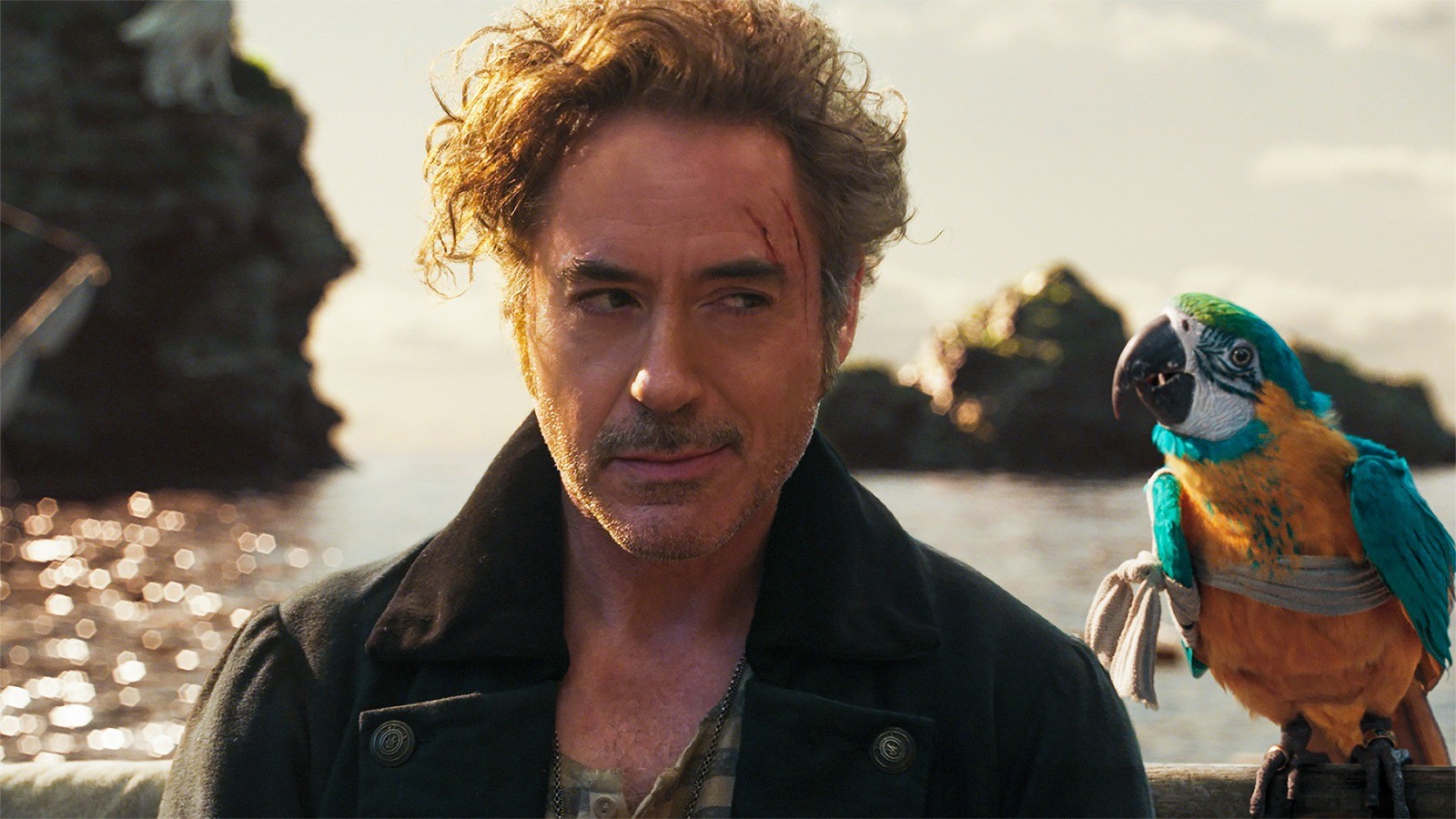 Sessão da Tarde: Robert Downey Jr. vira Dolittle em busca da cura da rainha