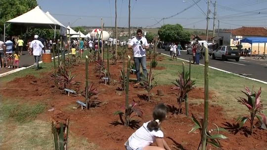 TEM Mais Verde realiza mega plantio no município de Olímpia - Programa: TEM Notícias 1ª Edição – Rio Preto/Araçatuba 