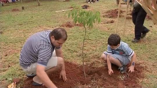 TEM Mais Verde faz mega plantio de mais de 300 mudas em Bauru - Programa: TEM Notícias 1ª Edição – Bauru/Marília 