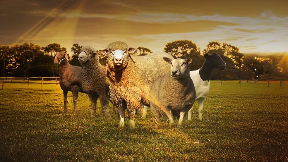 City Farm FAG acontece entre os dias 27 e 29 de novembro