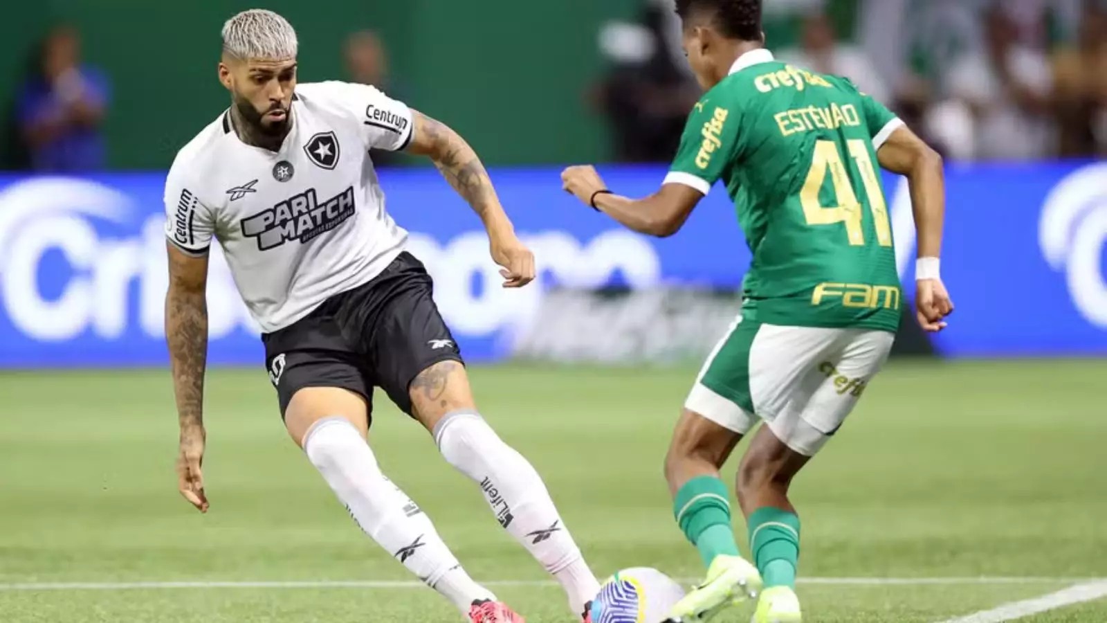 Palmeiras x Botafogo: horário e onde assistir a partida da Copa do