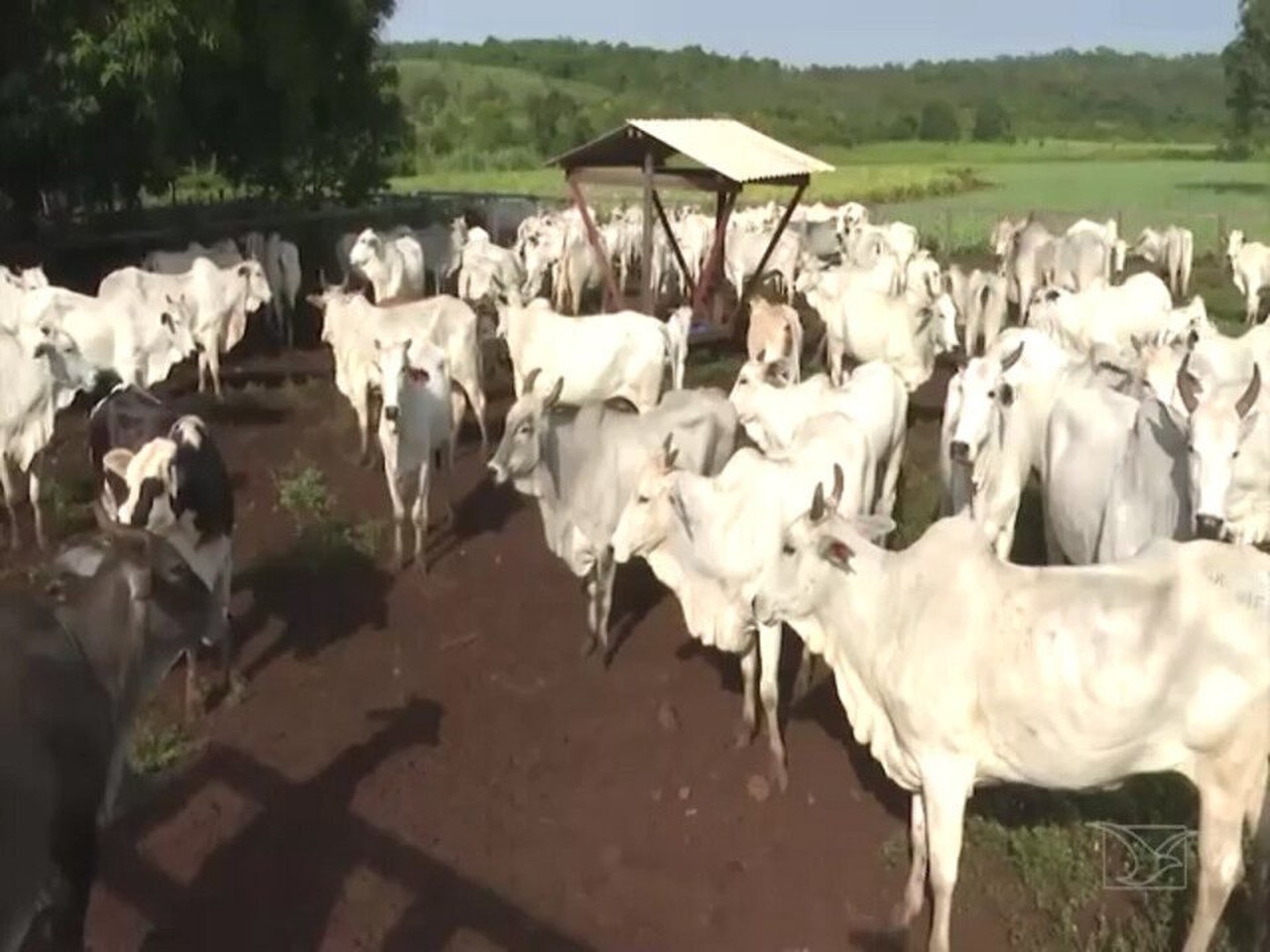 Mirante Rural destaca cadastro rural no Sul do Maranhão | Rede globo